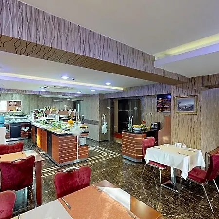 酒店 绿色布鲁萨酒店 3*